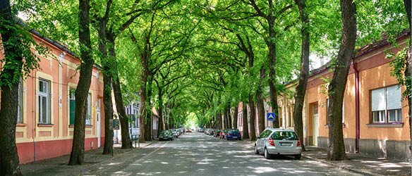 Jankovic Popovic & Mitic Belgrade, Belgium Office