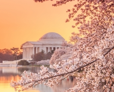 McNamee Hosea Annapolis, MD Office