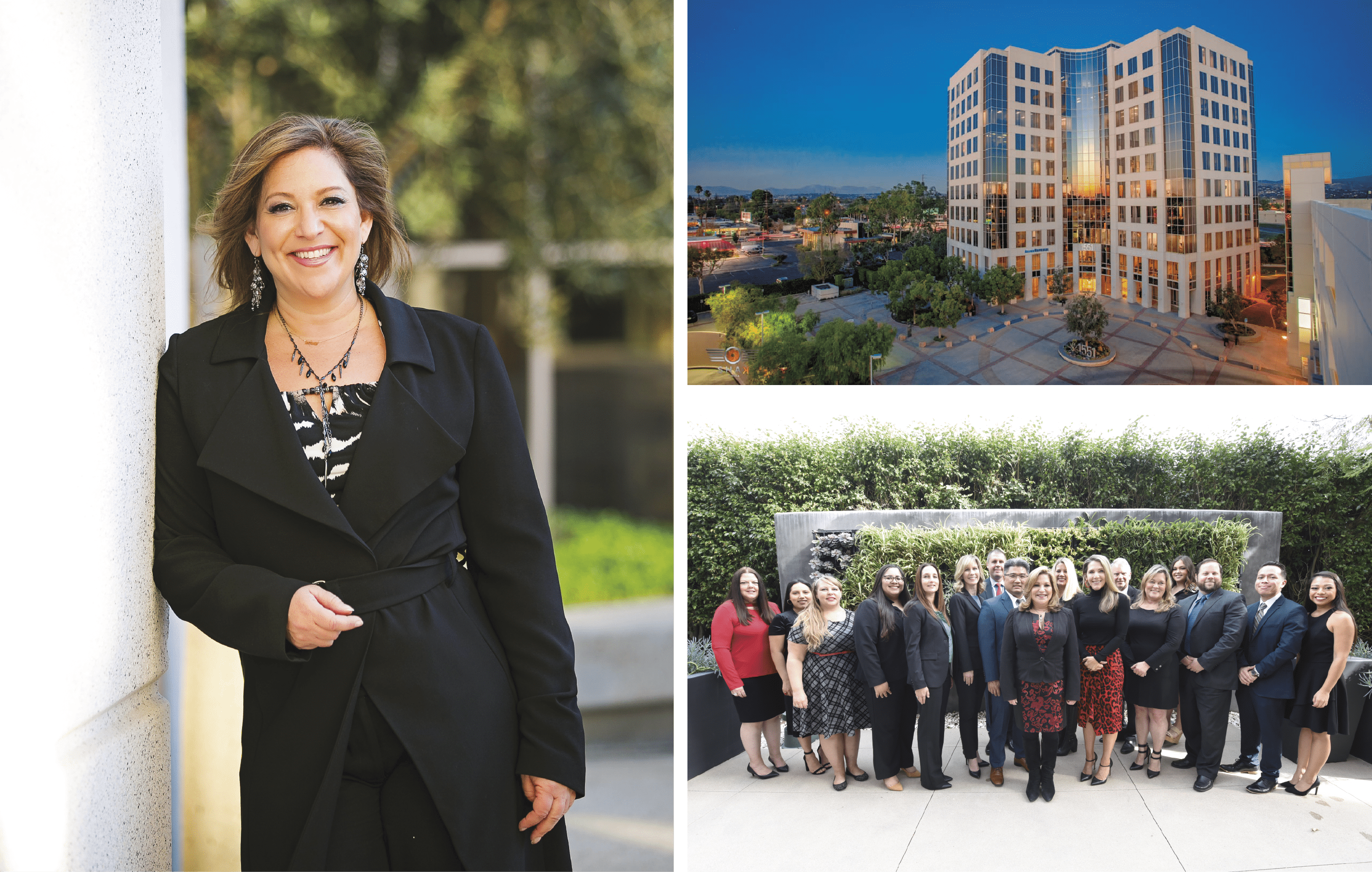 Law Offices of Adrienne D. Cohen, P.C San Rafael, CA Office