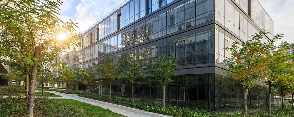 Law Offices of Tedone and Morton, P.C Plainfield, IL Office