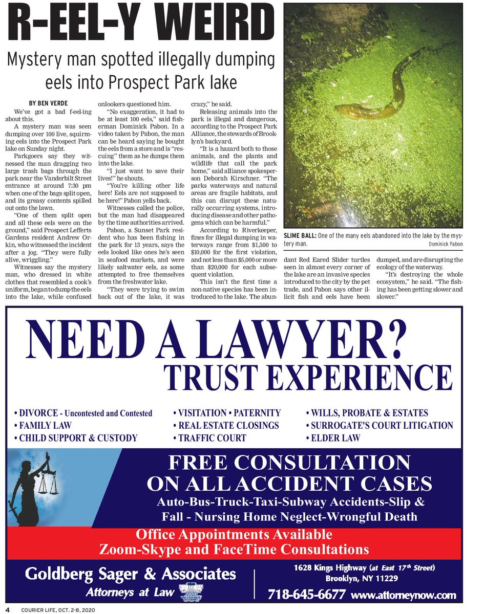 Goldberg Sager & Associates Brooklyn, NY Office