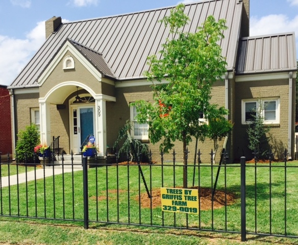 Woodrow-Snell Law Office Purcell,  Office