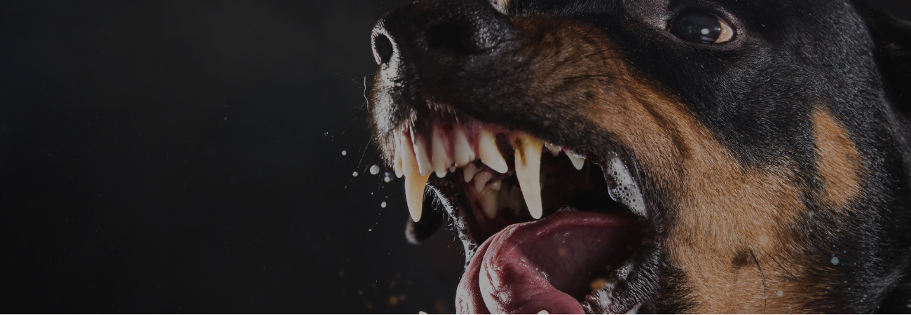 Law Offices of Richard J. Serpe, P.C Norfolk, VA Office