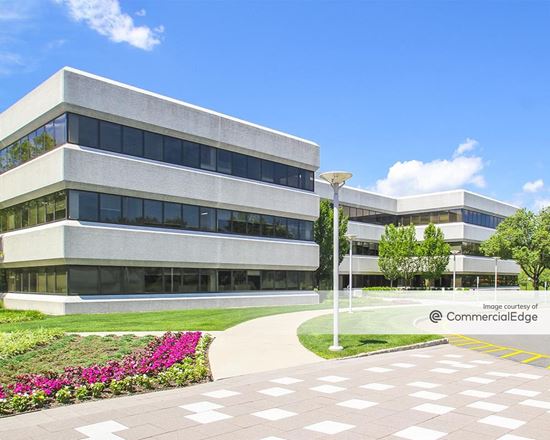 Amoruso & Amoruso Rye Brook, NY Office