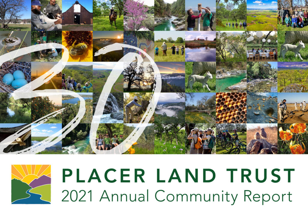 Aronowitz Skidmore Lyon Auburn, CA Office