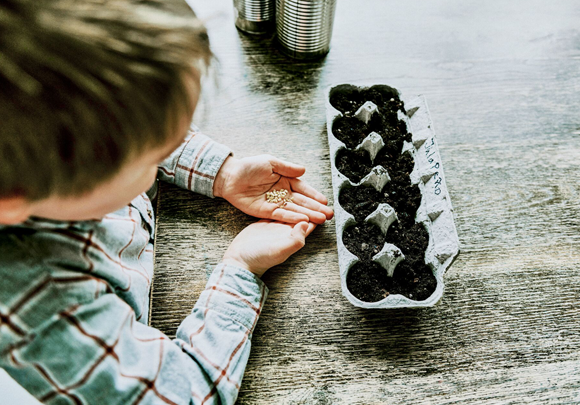 Georgiades & Pelides LLC Nicosia, Cyprus Office