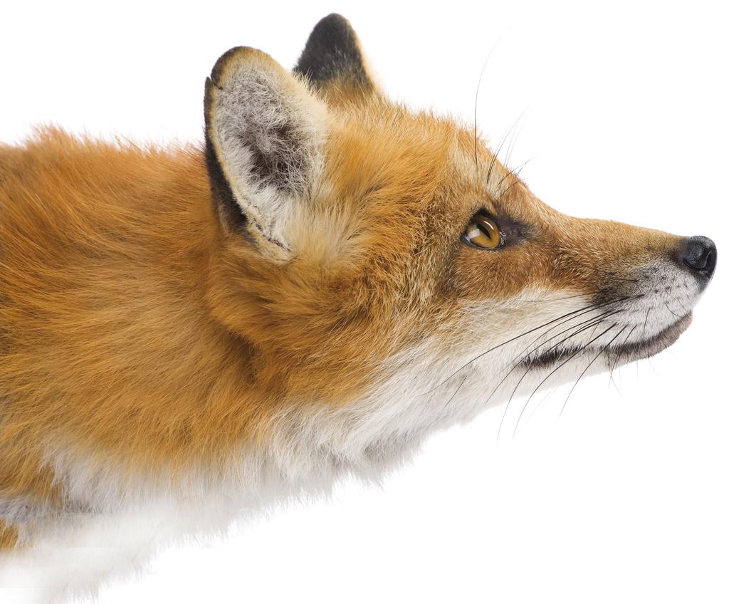 McCalla Raymer Leibert Pierce, LLC Jasper, GA Office