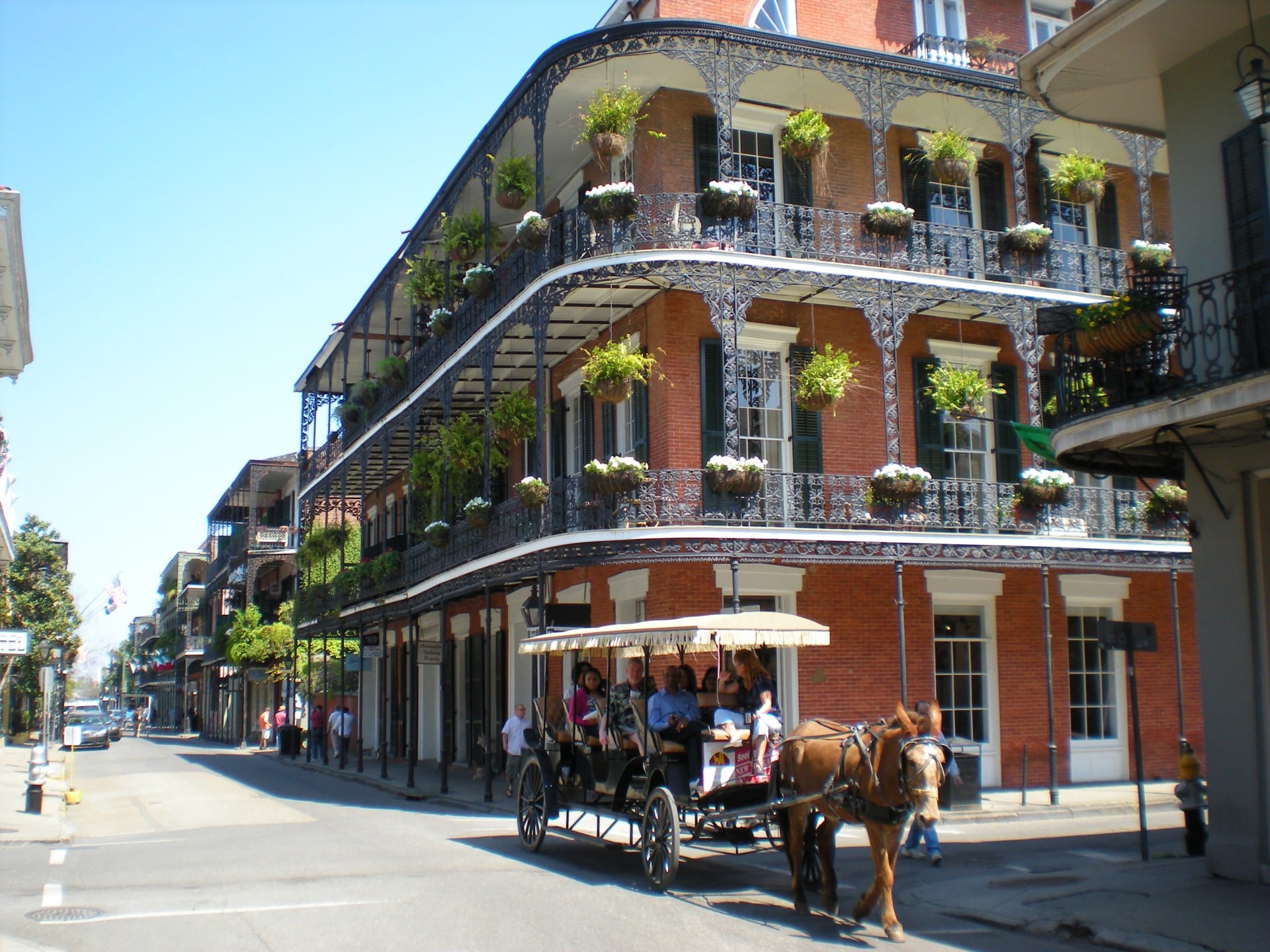 Zollinger Immigration New Orleans,  Office