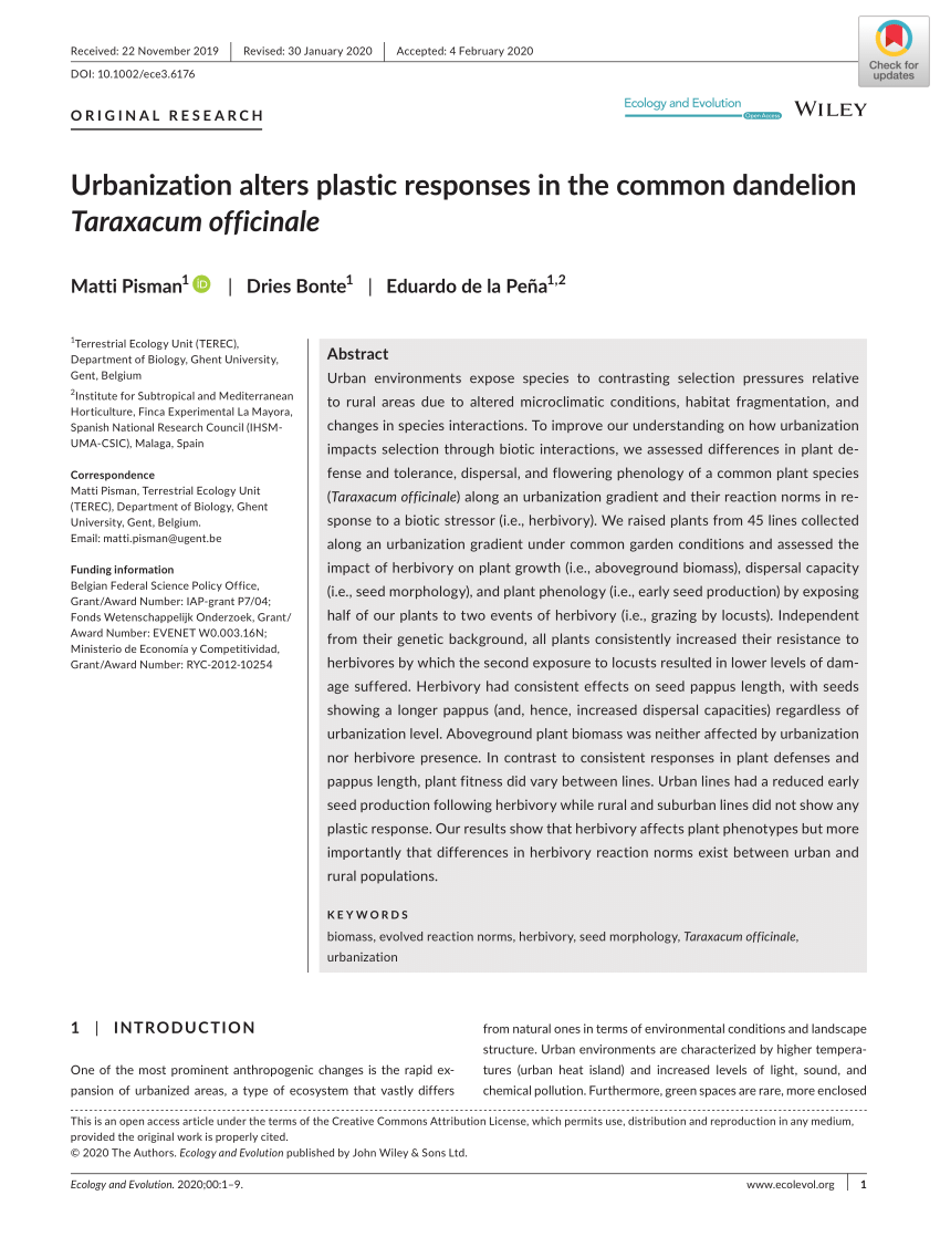 Laga Ghent, Belgium Office