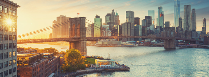 Nave + Associates, PC Albany, NY Office