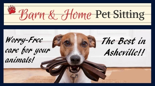 Patla, Straus, Robinson & Moore, P.A Asheville, NC Office