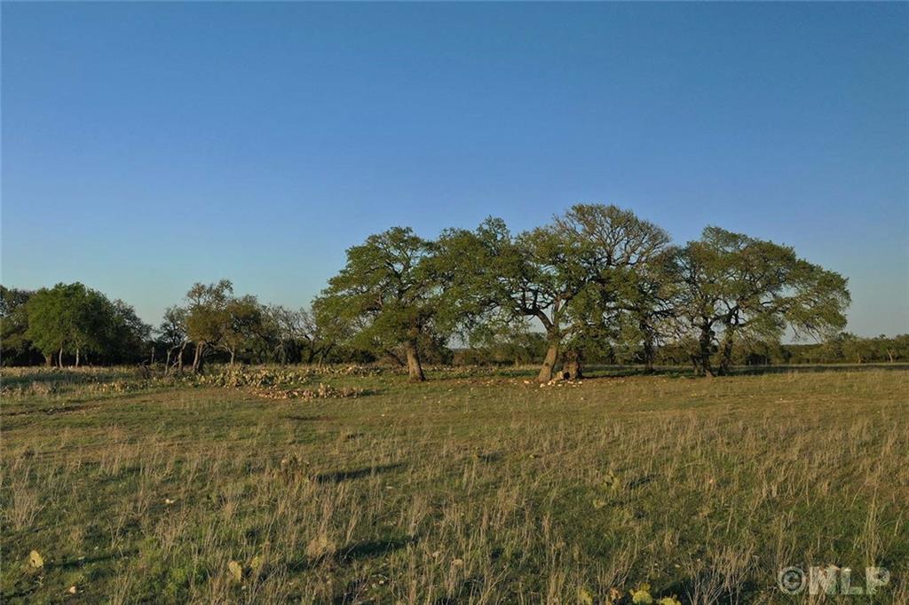 Thomas P. Carnes Kerrville, TX Office