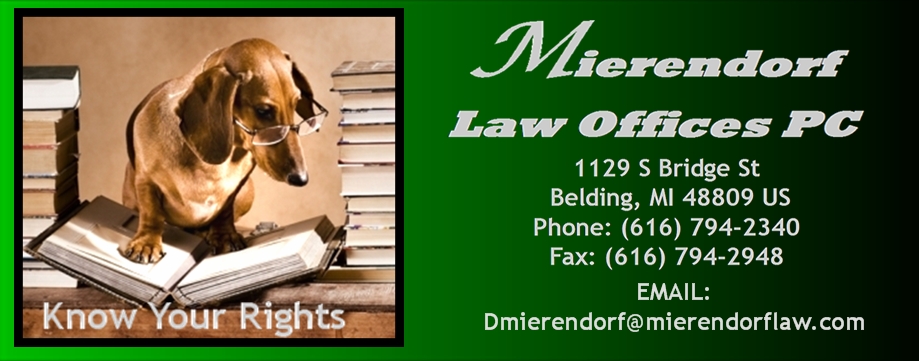 Mierendorf Law Offices, P.C Belding,  Office