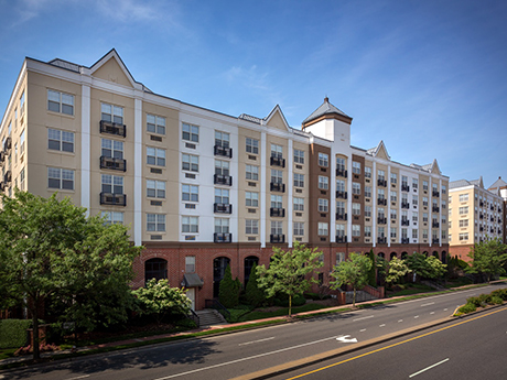 Ellenoff Grossman & Schole LLP Glen Cove, NY Office