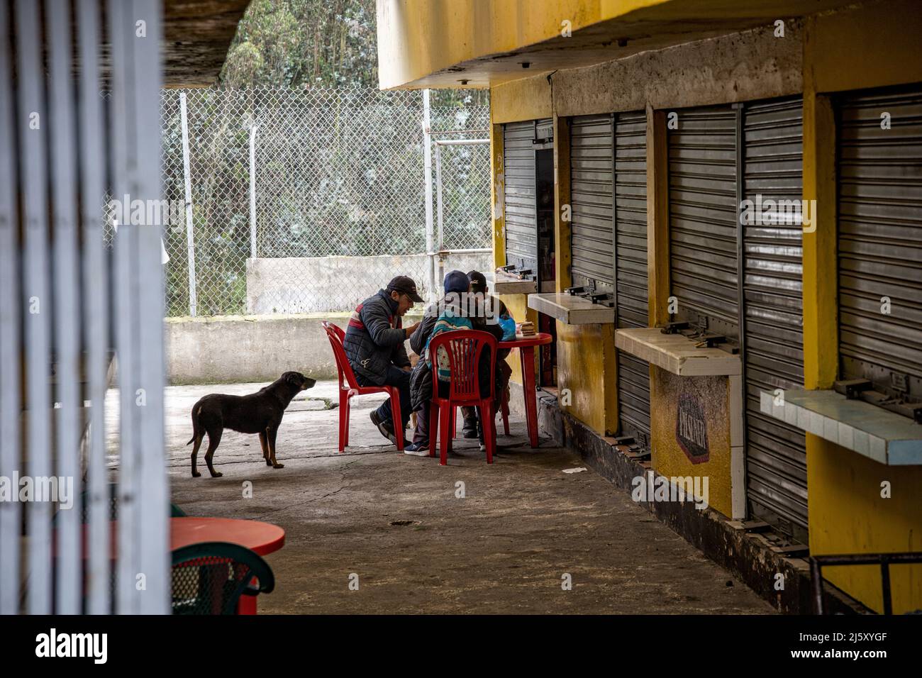 Vivanco & Vivanco Ecuador, Colombia Office