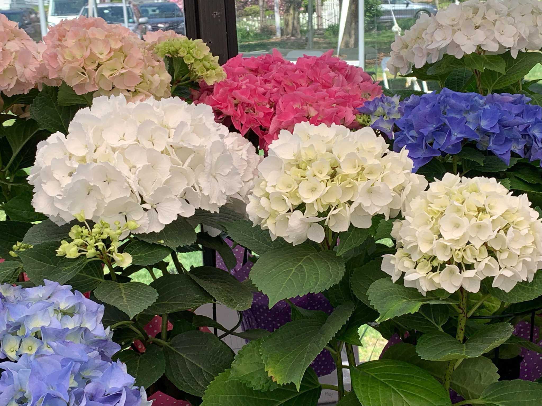 Nedder & Associates, LLC New York City, NY Office