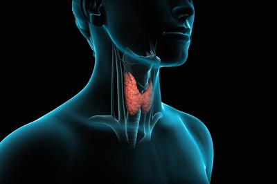 Bursor & Fisher, PA Walnut Creek,  Office