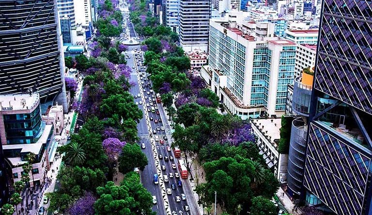 Ritch, Mueller, Heather y Nicolau, S.C Mexico Office