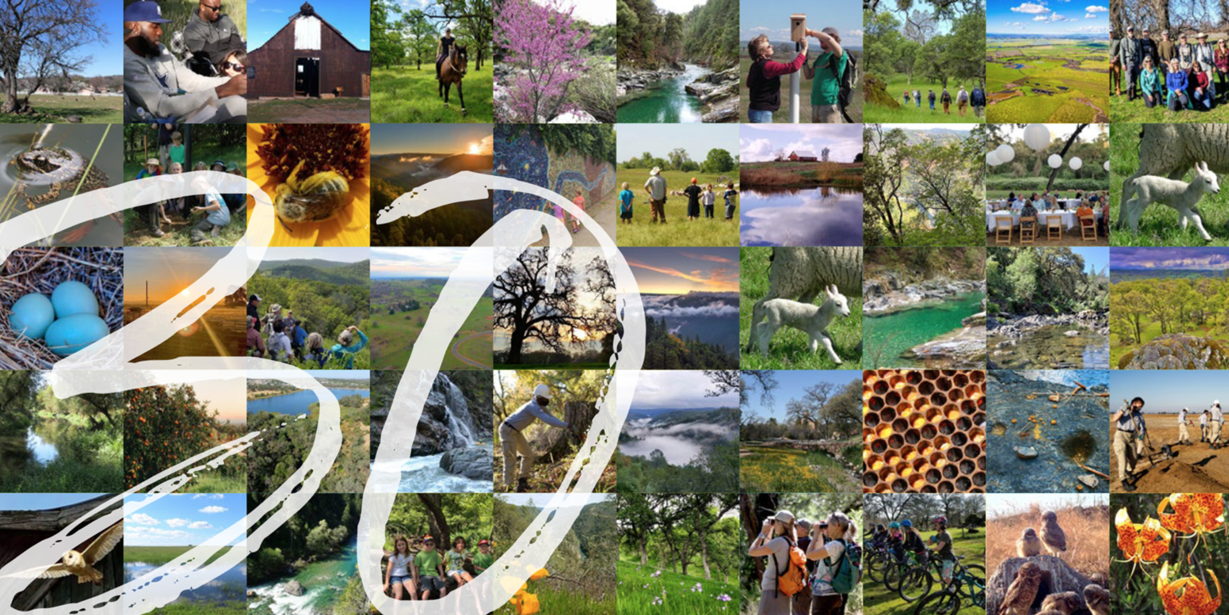 Aronowitz Skidmore Lyon Auburn, CA Office