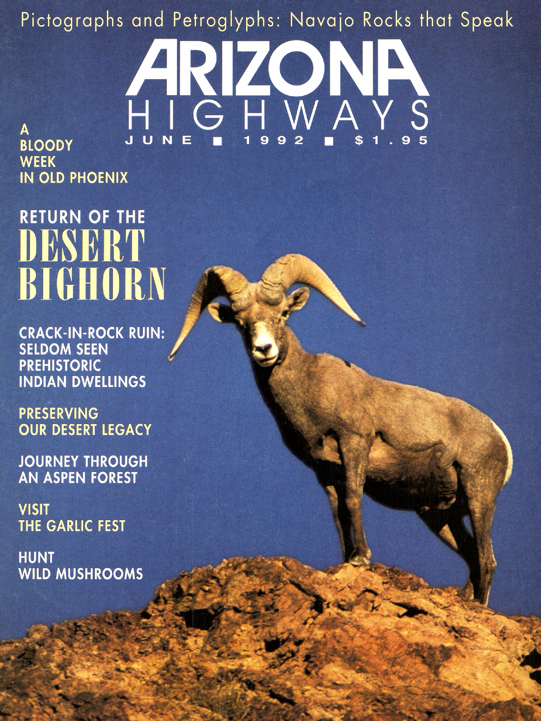 Bighorn Law Phoenix, AZ Office