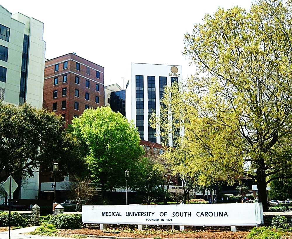 Cano Law LLC Charleston,  Office