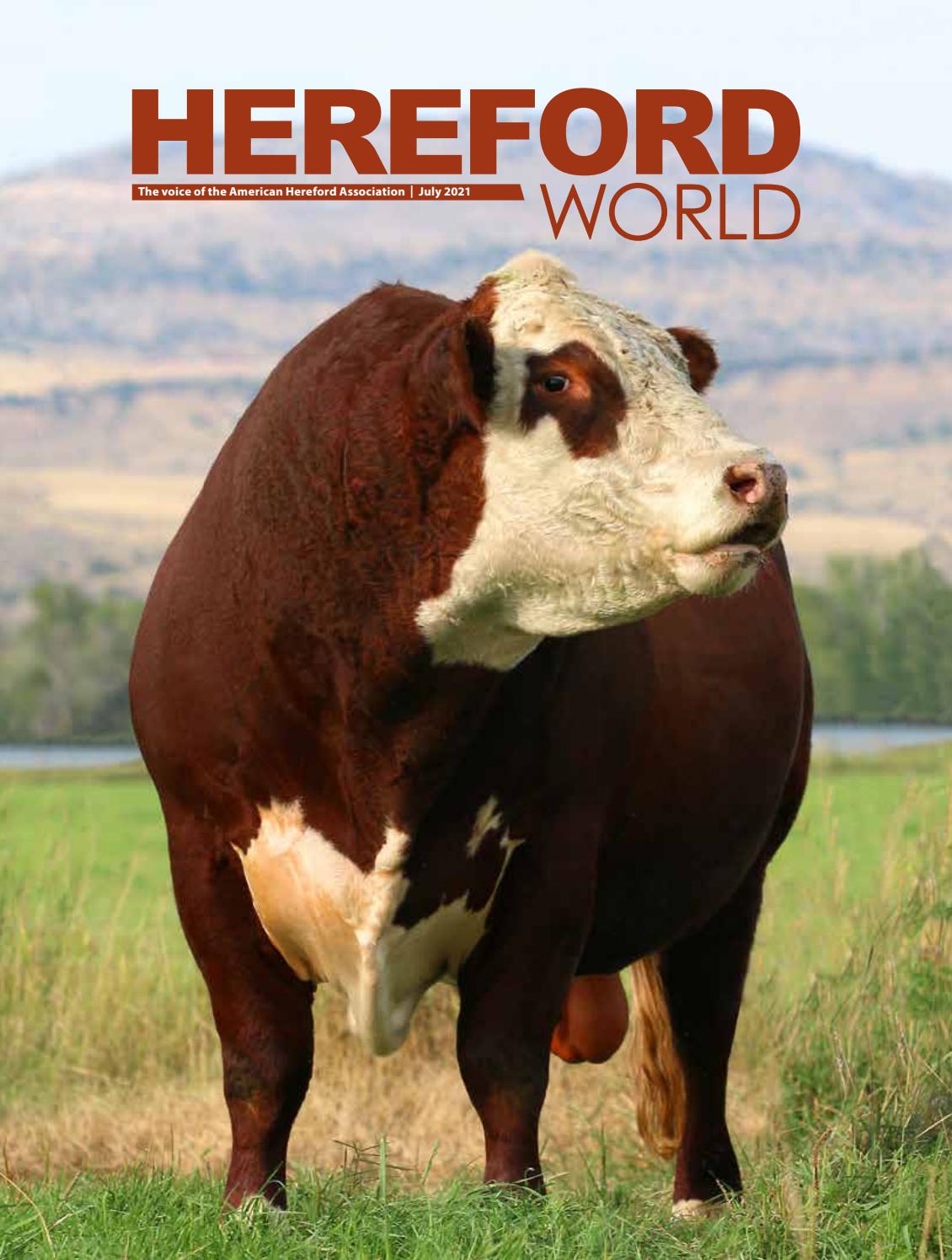 Stanley, Lande & Hunter Wilton, IA Office