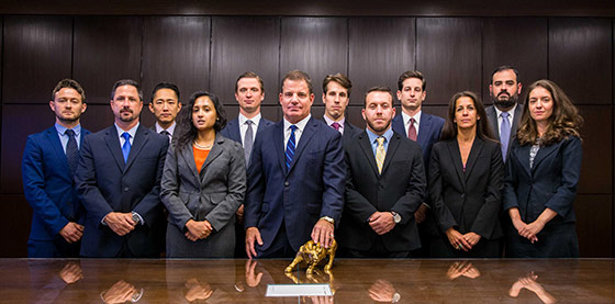 The Law Offices of Michael S. Lamonsoff, PLLC New York City, NY Office