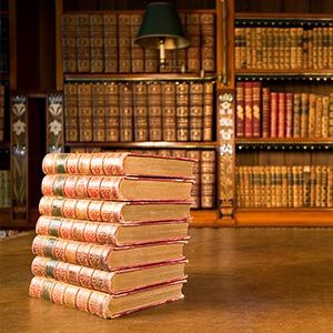 Law Office of Adrienne B. Naumann Skokie,  Office