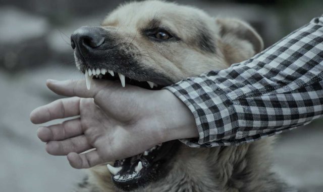 Feiner & Lavy, PC New York City, NY Office