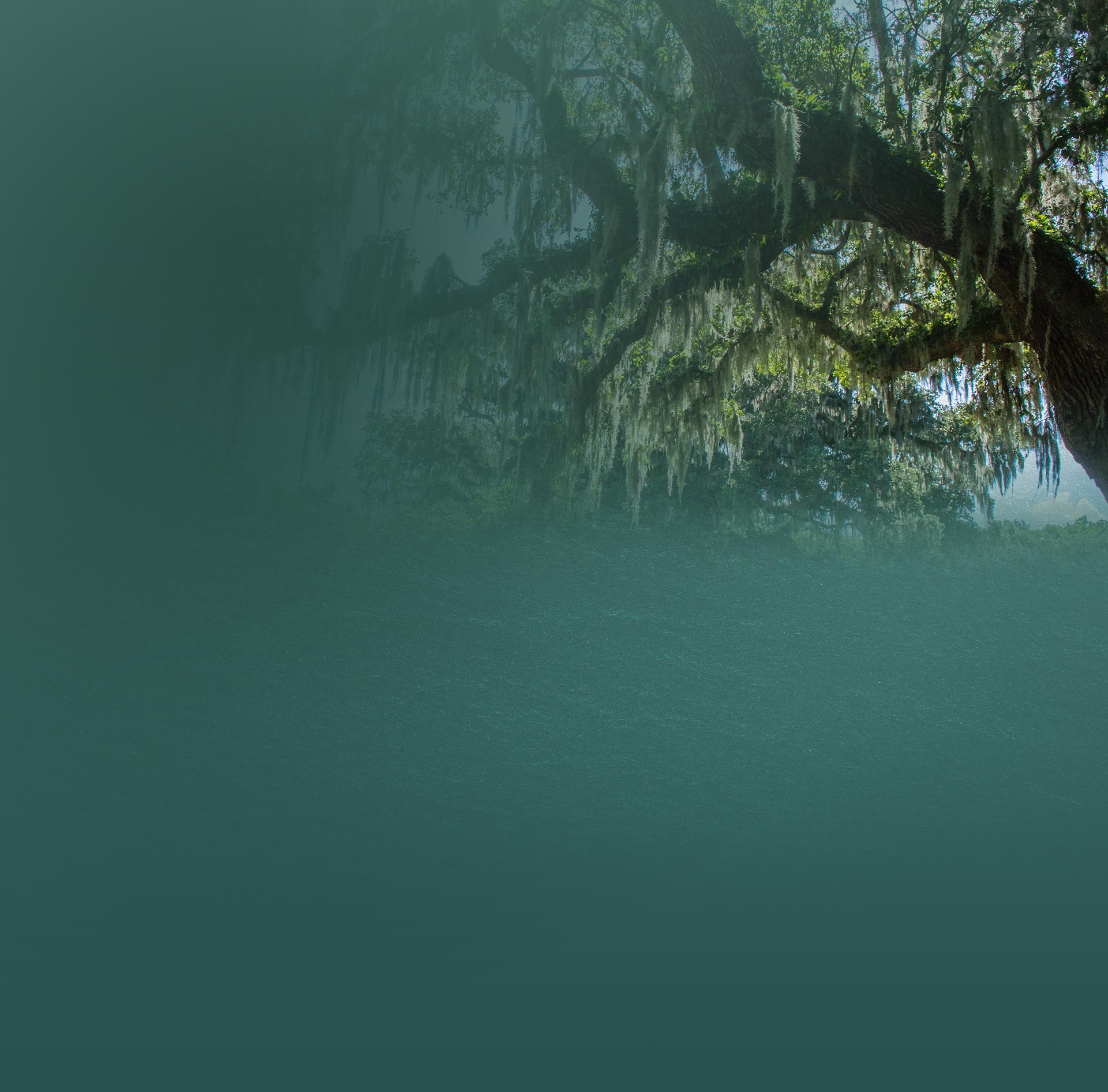 Sanders Law Firm, LLC Charleston, SC Office