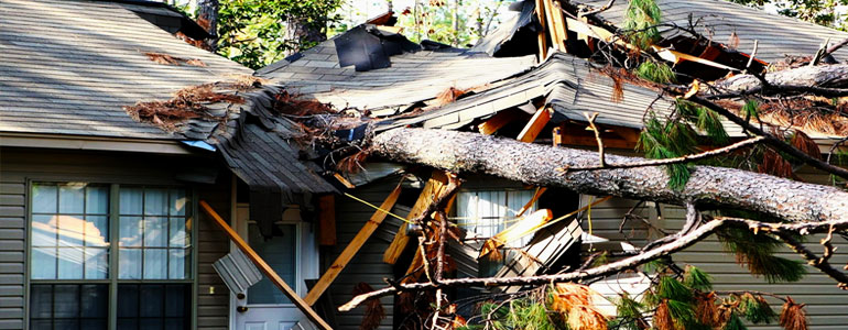 Banker Lopez Gassler PA Fort Myers, FL Office