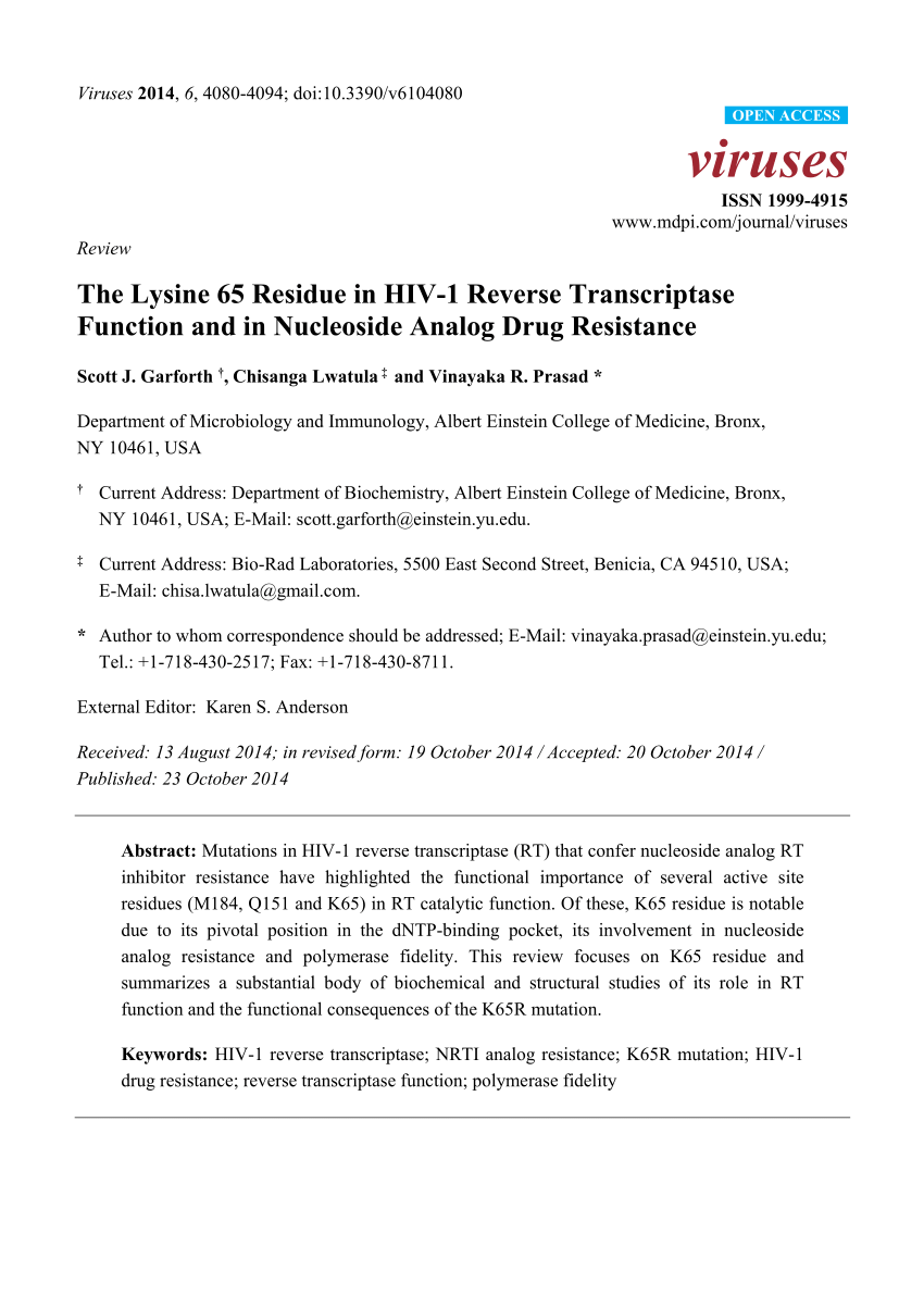 Binder & Binder Bronx, WY Office
