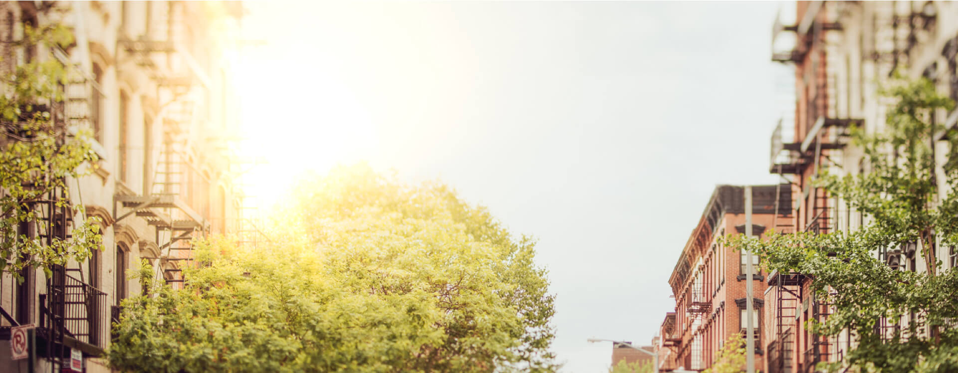 Yana Feldman & Associates, PLLC Brooklyn,  Office