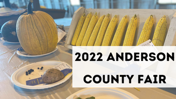 Anderson & Byrd, L.L.P Ottawa,  Office