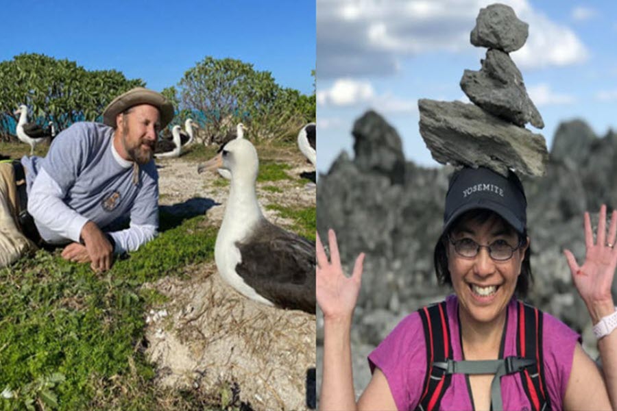 Law Office of Borah & Shaffer Cupertino, CA Office