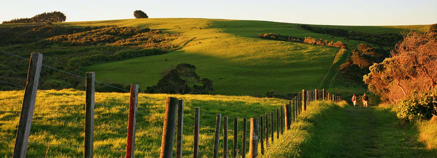 Buddle Findlay Auckland, New Zealand Office