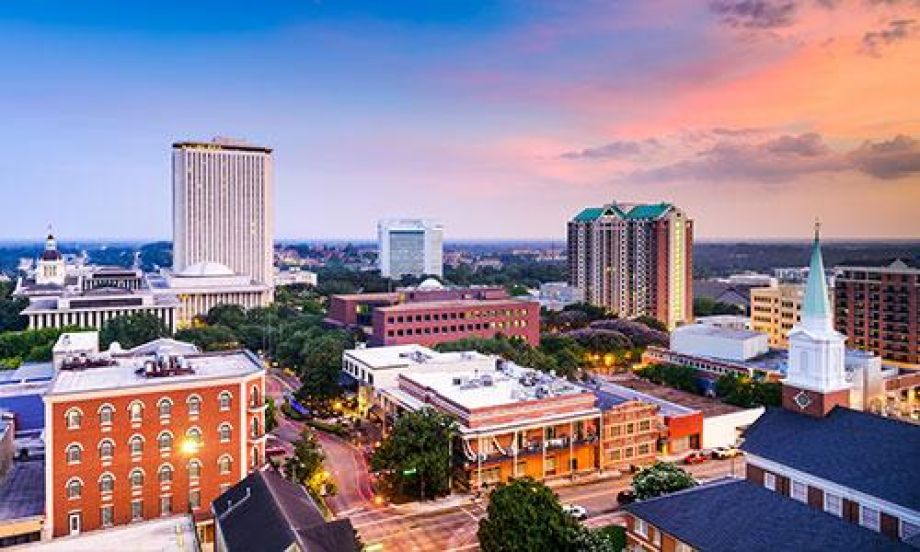 Losey PLLC Tampa, FL Office