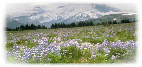 Murane & Bostwick Attorneys at Law Casper, WY Office