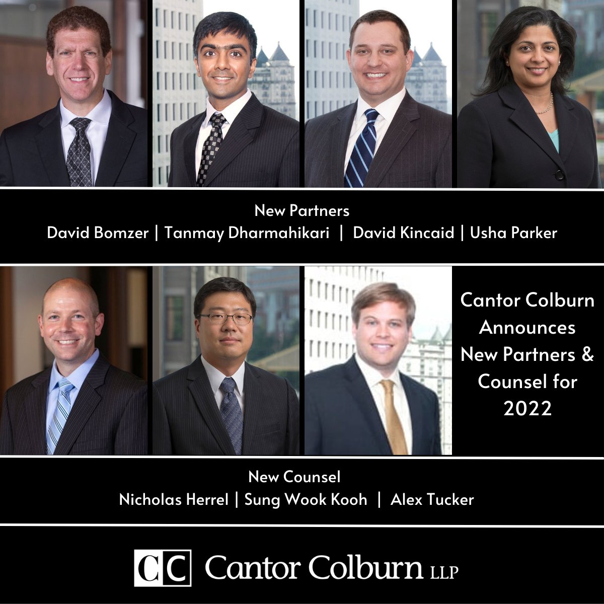 Cantor Colburn LLP Houston, TX Office