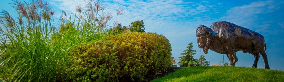 Francis M. Letro Buffalo, NY Office