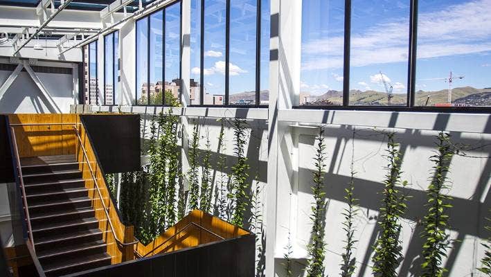Lane Neave Christchurch, United Kingdom Office