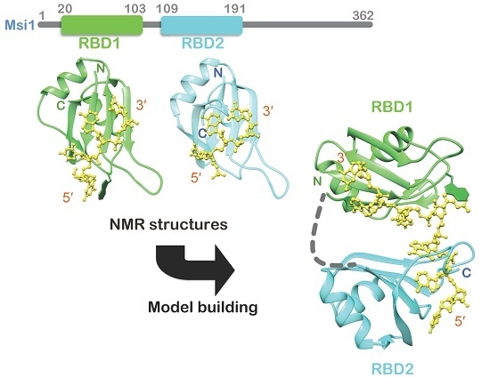 Dentons Zhoushan, China Office