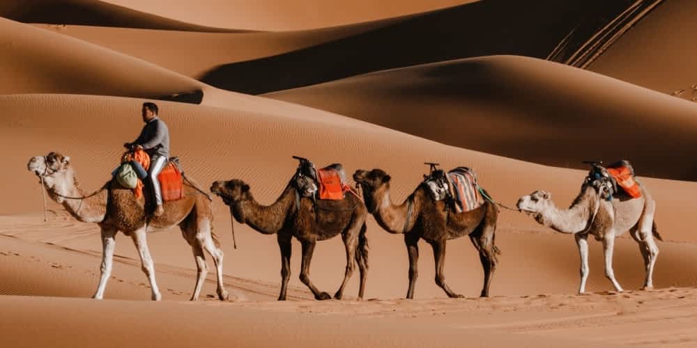 Barrett Daffin Frappier Turner & Engel, LLP - BDF Law Group Houston, TX Office