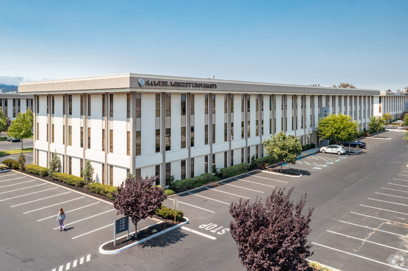 Anderlini & McSweeney LLP San Mateo,  Office