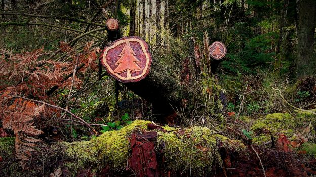 Possinger Law Firm, PLLC Woodinville, WA Office