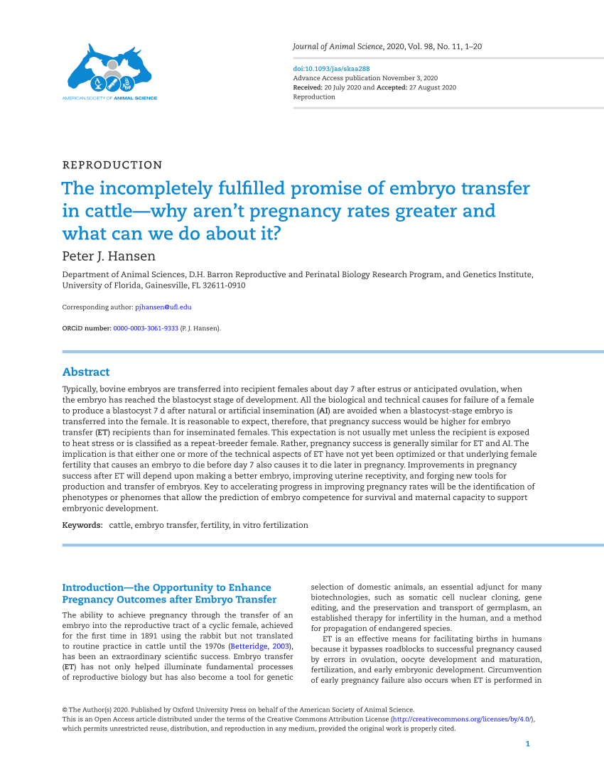 Pastore & Dailey LLC Gainesville, FL Office