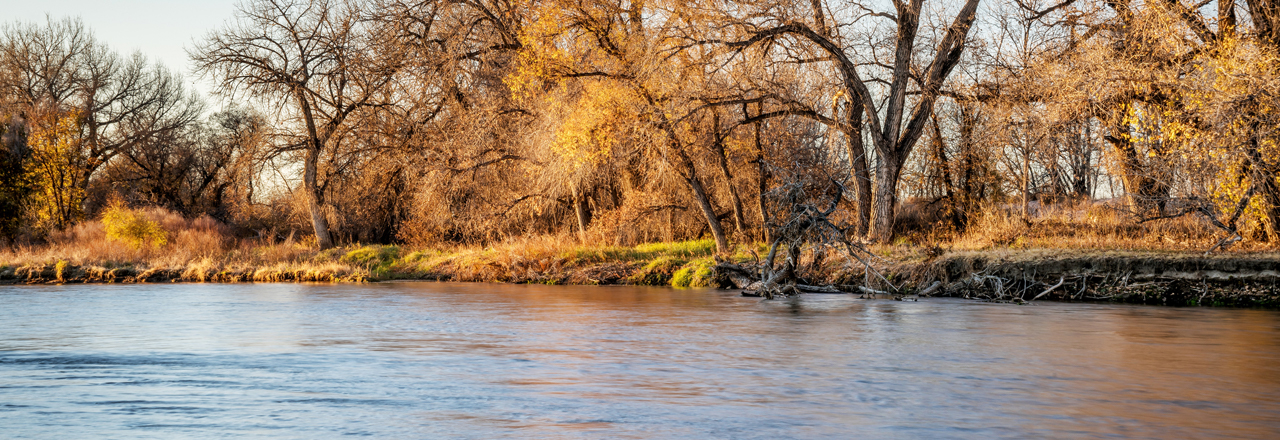 Witwer, Oldenburg, Barry & Groom, LLP Greeley, CO Office