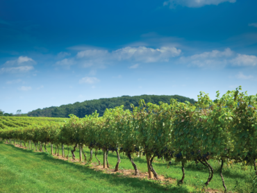 Knox McLaughlin Gornall & Sennett, P.C Erie, PA Office