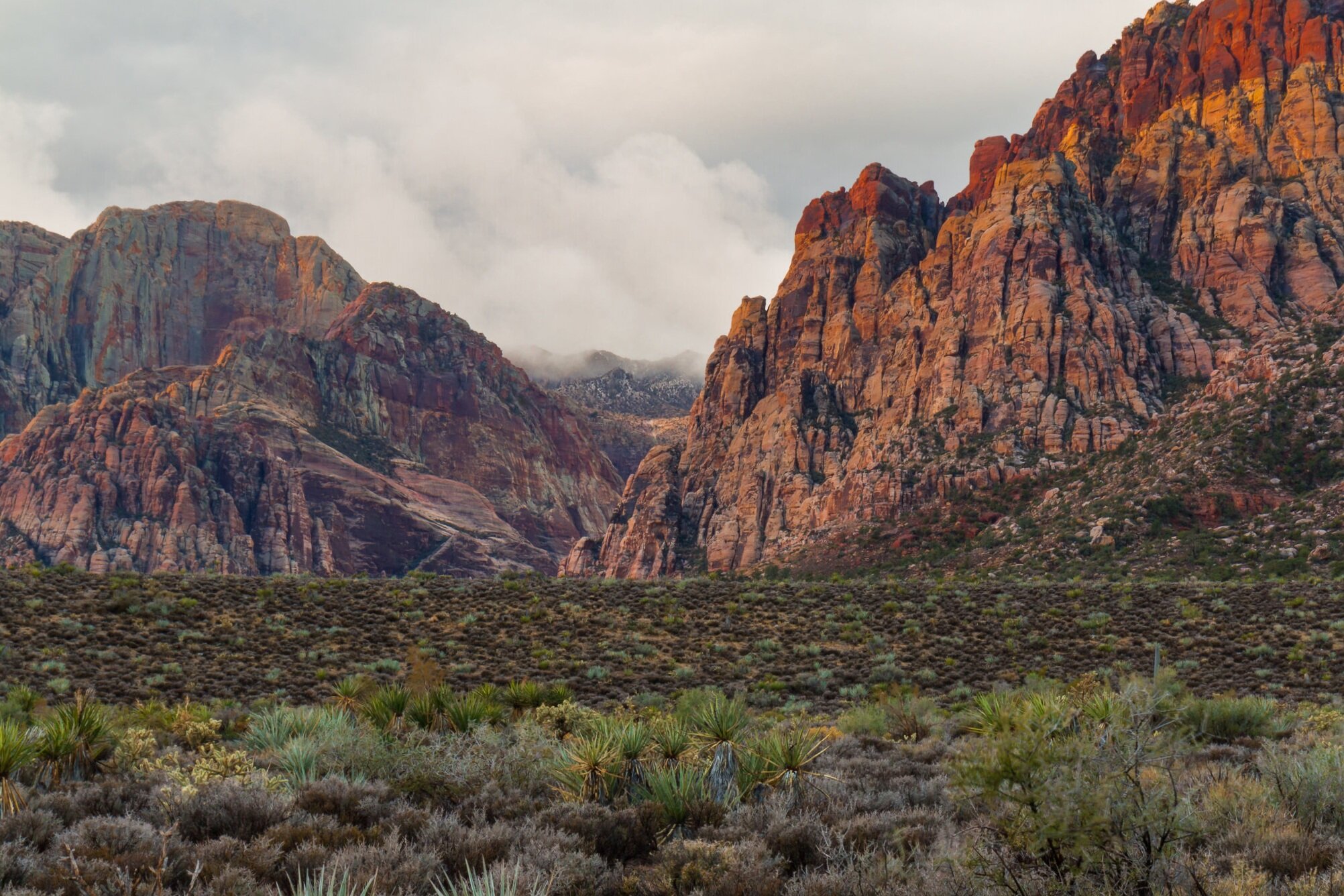 Shea Larsen PC Las Vegas,  Office