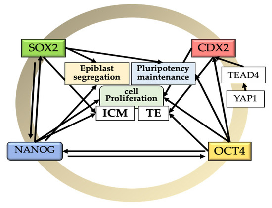 A.D. Sosa & Soto Guatemala Office
